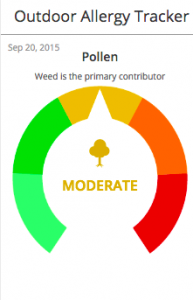 weather channel pollen report